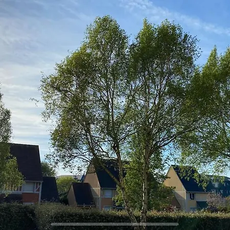 Domaine Du Yearling *